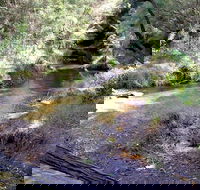 Wheeny Creek campground - Mackay Tourism