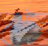 4 Pelican Court - River Shack Rentals - Mackay Tourism