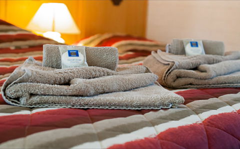 Angaston Vineyards Motel - Mackay Tourism 1