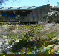 Melaleuca - Eco and Pet Friendly  Harbor Point Cabins - Mackay Tourism