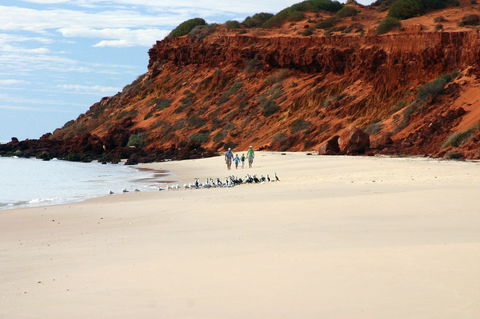 South Gregories Camp At Francois Peron National Park - Mackay Tourism 0