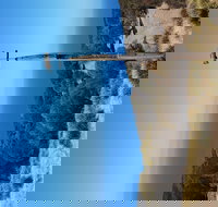 The Grass Tree Coastal Retreat Kangaroo Island - Mackay Tourism