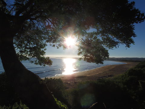 Apex Beachside Holiday Park - Mackay Tourism 1