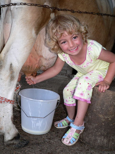 Ashmar Farmstay - Mackay Tourism 1