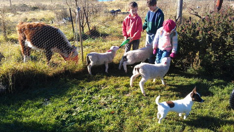 Dairy Park Farm Stay Bed And Breakfast - Mackay Tourism 2