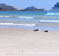 Eagles Rise Tasmania - Mackay Tourism