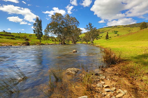 Elm Cottage Tumut - Mackay Tourism 0