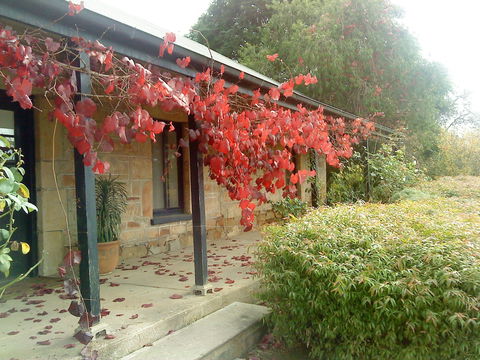 Ethel's Cottage - Mackay Tourism 0