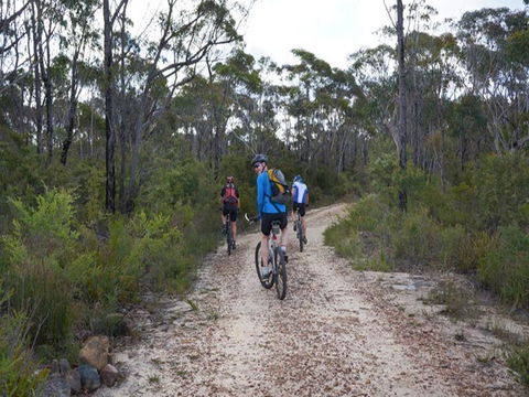 Ingar Campground - Mackay Tourism 0