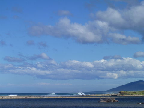 Scamander On The Beach - Mackay Tourism 1