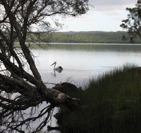 The Cove - Mackay Tourism