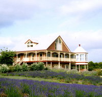 Serendipity Lavender Farm - Mackay Tourism
