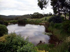 Carolins Organic Farm - Mackay Tourism 1