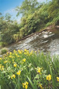 Grange Yarra Valley - Mackay Tourism 4