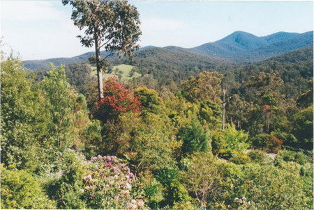 Helgrah Cottage - Mackay Tourism 5