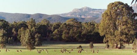 Wartook Gardens - Mackay Tourism 1