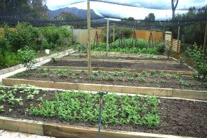 Wartook Gardens - Mackay Tourism 3