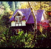 Forest Glade Olinda - Mackay Tourism