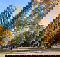 Omeo Caravan Park - Mackay Tourism