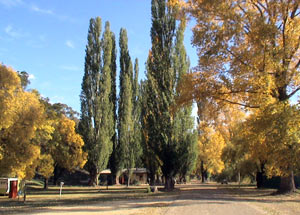 Omeo Caravan Park - Mackay Tourism 0