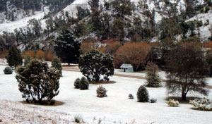 Omeo Caravan Park - Mackay Tourism 1