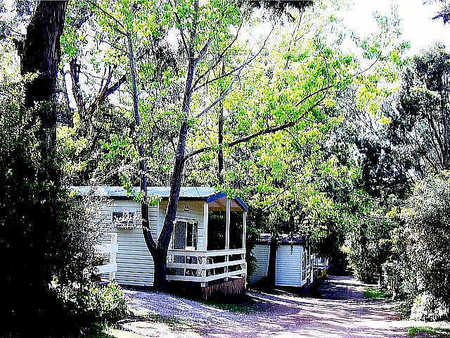Flinders Caravan Park - Mackay Tourism 0