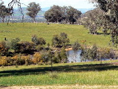 Gaddleen Grove Cottages - Mackay Tourism 5