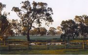 Ardwick Homestead - Mackay Tourism 1