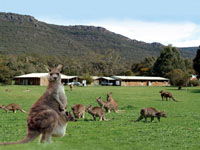 Halls Gap Log Cabins - Mackay Tourism 2