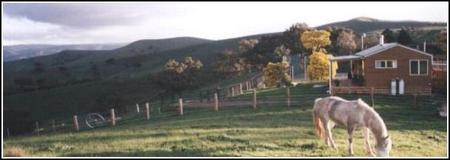Idlewild Park Farm Accommodation - Mackay Tourism 1