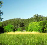 Waterholes Guest House - Mackay Tourism
