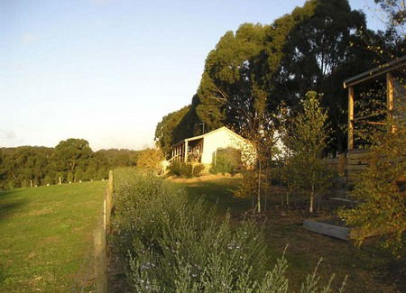 Birchwood Retreat Country Cottages - Mackay Tourism 3