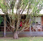 BIG4 Ballarat Windmill Holiday Park - Mackay Tourism