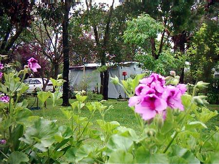 Beach Park Tourist Caravan Park - Mackay Tourism 2