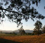 Cann River Rainforest Caravan Park - Mackay Tourism