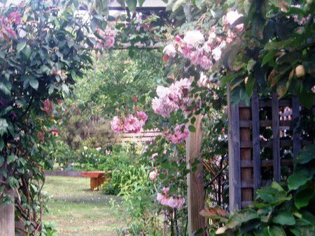 Hudspeth House Bed And Breakfast - Mackay Tourism 2