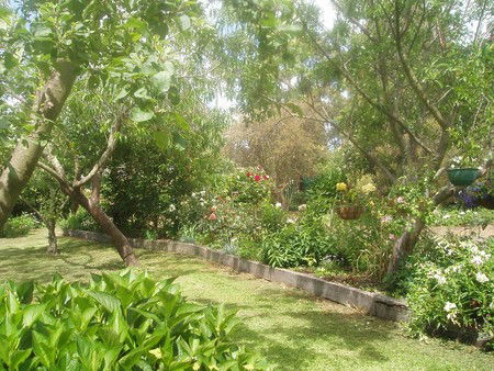 Hudspeth House Bed And Breakfast - Mackay Tourism 5