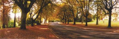 La Trobe At Beechworth - Mackay Tourism 0