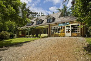 Curtis Falls Mountain Retreat - Mackay Tourism 0