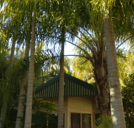 BIG4 Tropical Wanderer Resort - Mackay Tourism