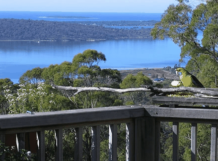 Bed in the Treetops - Mackay Tourism