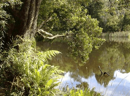 Weldborough Hotel - Mackay Tourism