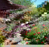 Chestnut Brook Cottage - Mackay Tourism