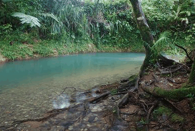 Diwan QLD Mackay Tourism