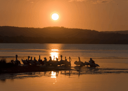 Mercure Centro Hotel - Mackay Tourism 1