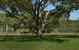 Hawks Nest Holiday Park - thumb 3