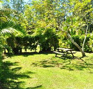 Wooli Caravan Park - Mackay Tourism