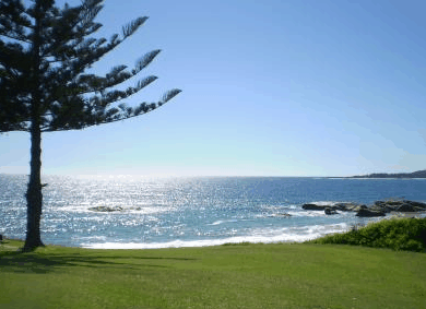 Next Seabreeze Beach Hotel - Mackay Tourism 1