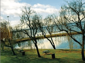 Lake Mulwala Holiday Park - Mackay Tourism 2