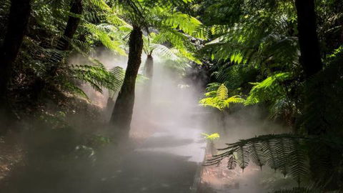Australian National Botanic Gardens - Mackay Tourism 4